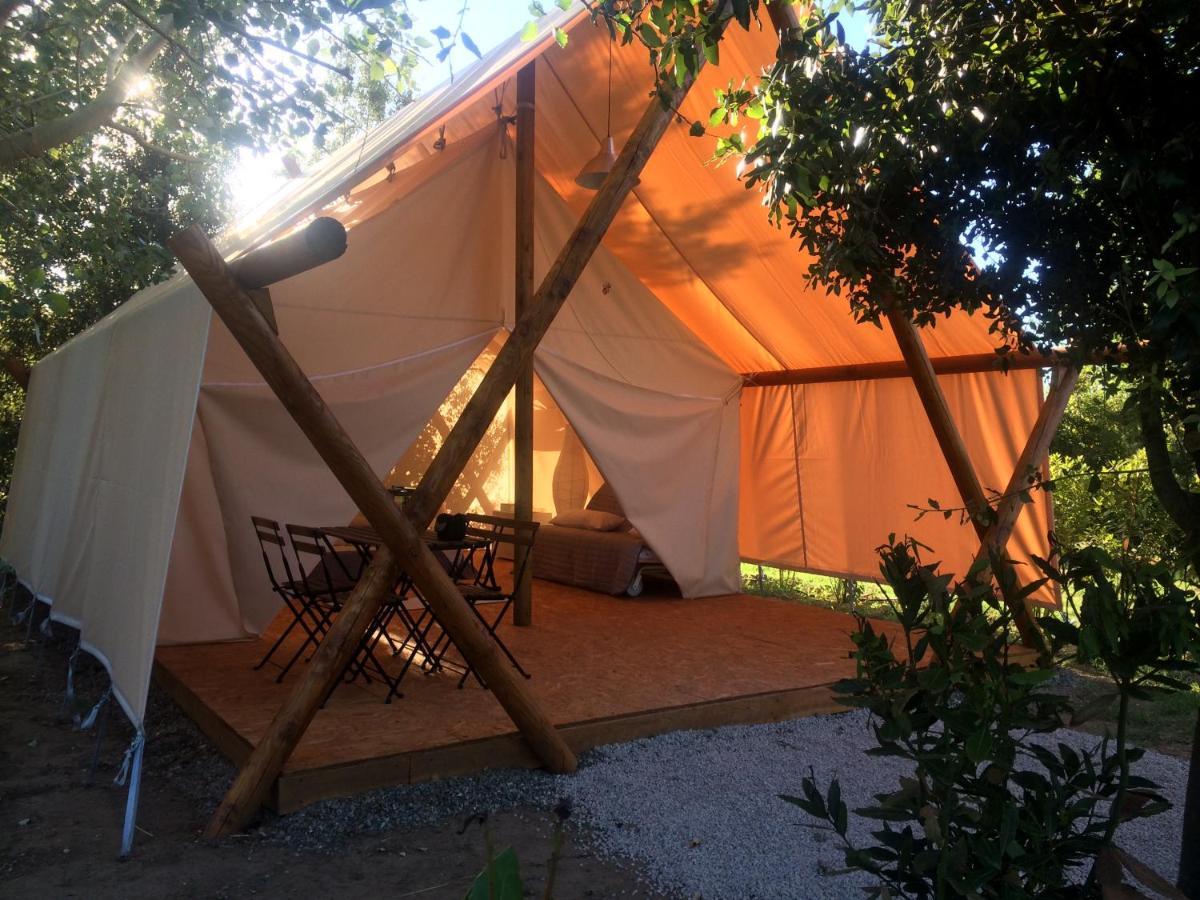 Bnatural Glamping Naturista/Nudista Baratti Exterior foto