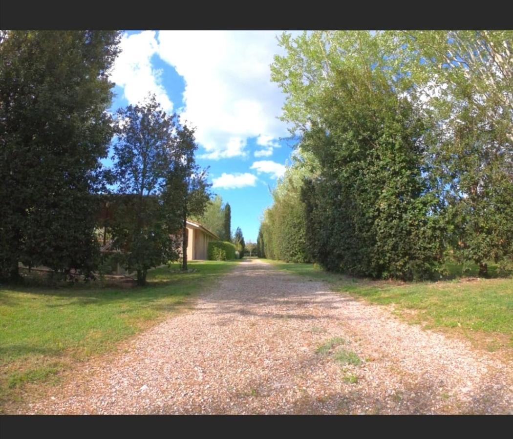 Bnatural Glamping Naturista/Nudista Baratti Exterior foto