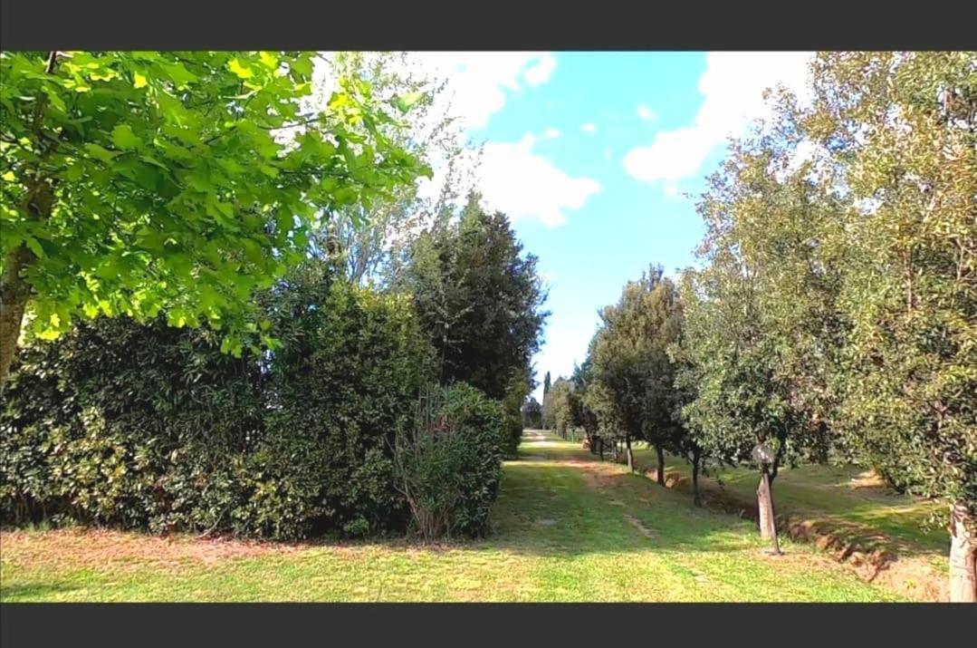 Bnatural Glamping Naturista/Nudista Baratti Exterior foto