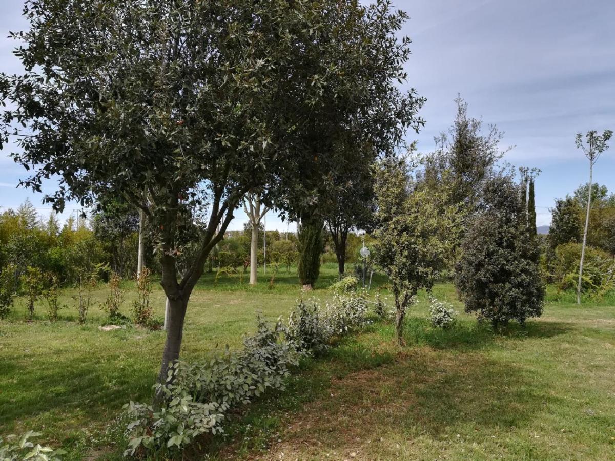 Bnatural Glamping Naturista/Nudista Baratti Exterior foto