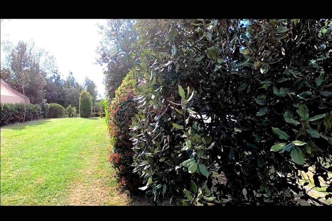 Bnatural Glamping Naturista/Nudista Baratti Exterior foto