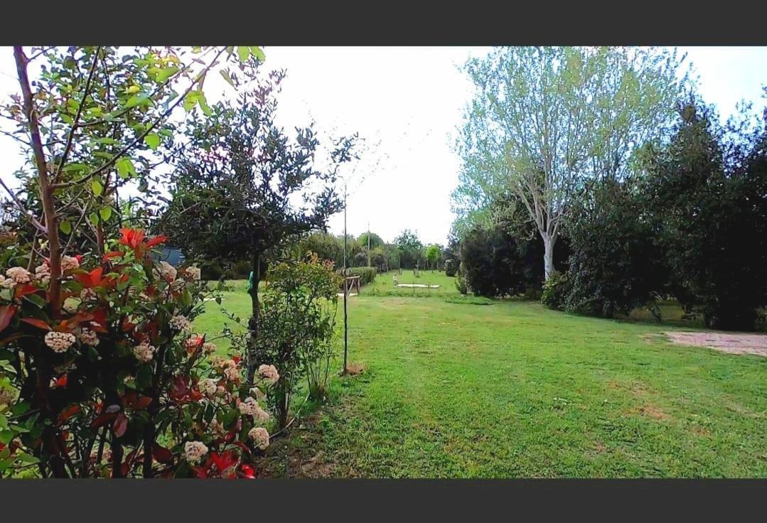 Bnatural Glamping Naturista/Nudista Baratti Exterior foto