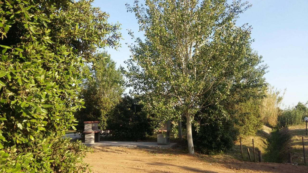 Bnatural Glamping Naturista/Nudista Baratti Exterior foto