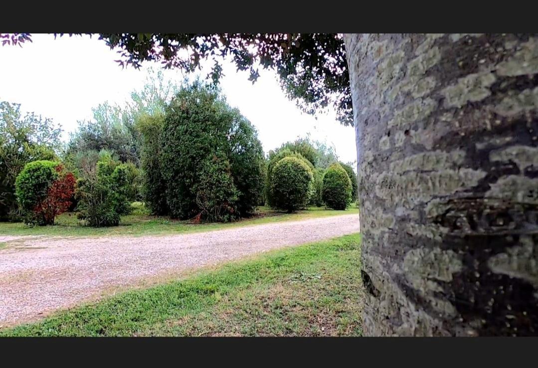 Bnatural Glamping Naturista/Nudista Baratti Exterior foto